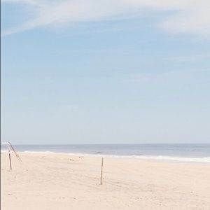 Meet your Posher, Misha,